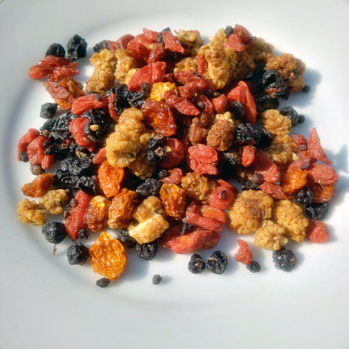 baies séchées bienfaits Myrtille bio